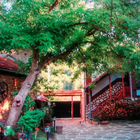 Homestay под наем 